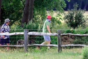 Chris Evans and Billie Gardening