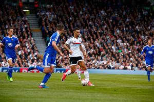 Fulham v Brentford 2017
