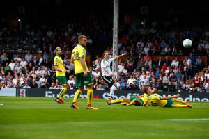 Fulham v Norwich