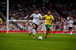 Fulham v Norwich