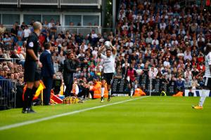 Fulham v Norwich