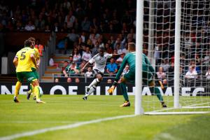Fulham v Norwich