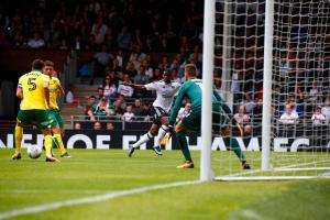 Fulham v Norwich