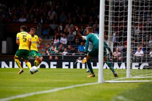 Fulham v Norwich