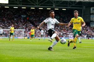 Fulham v Norwich