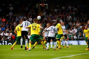 Fulham v Norwich