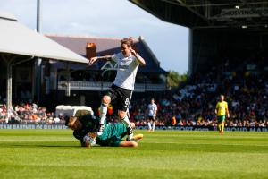 Fulham v Norwich