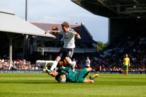 Fulham v Norwich