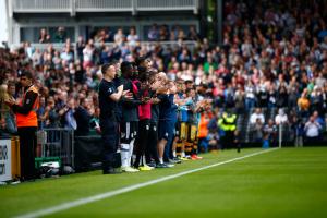 Fulham v Sheff Wednesday
