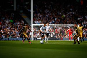 Fulham v Sheff Wednesday