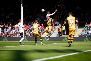 Fulham v Sheff Wednesday