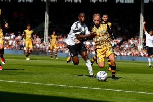 Fulham v Sheff Wednesday