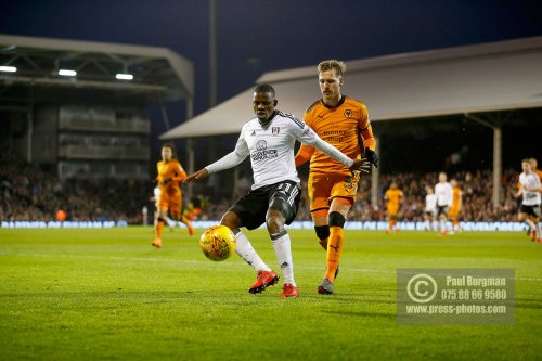 Fulham v Wolves 1002